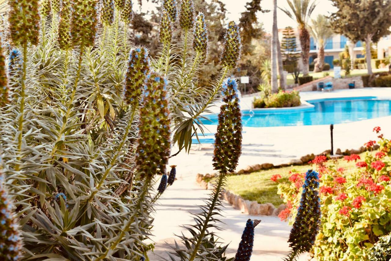 Paradise Gardens Mediterranean Home Paphos Exterior foto